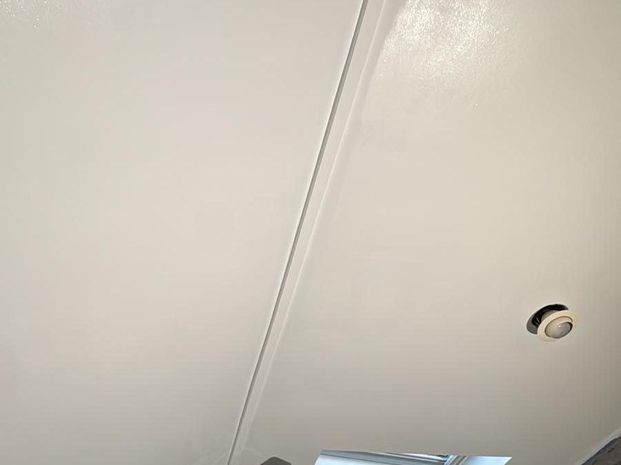 Vaulted ceiling freshly painted white, with skylights and a ceiling fan